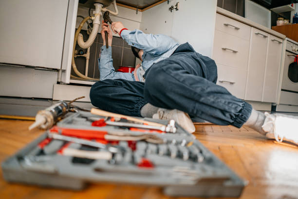 Best Emergency Plumbing Repair  in Palestine, IL