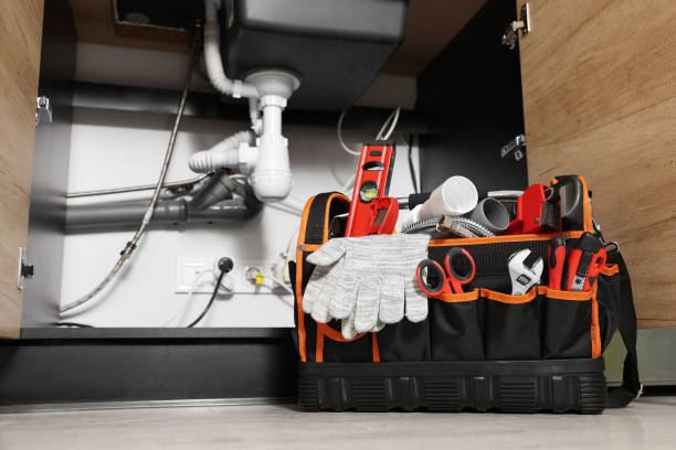 Best Clogged Drain Plumber  in Palestine, IL