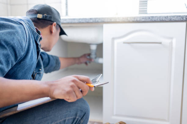Best Shower Repair Services  in Palestine, IL