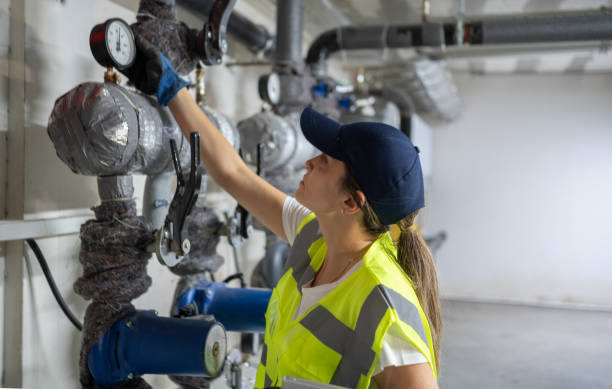 Best Sewer Line Repair  in Palestine, IL