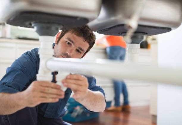 Best Toilet Repair Services  in Palestine, IL