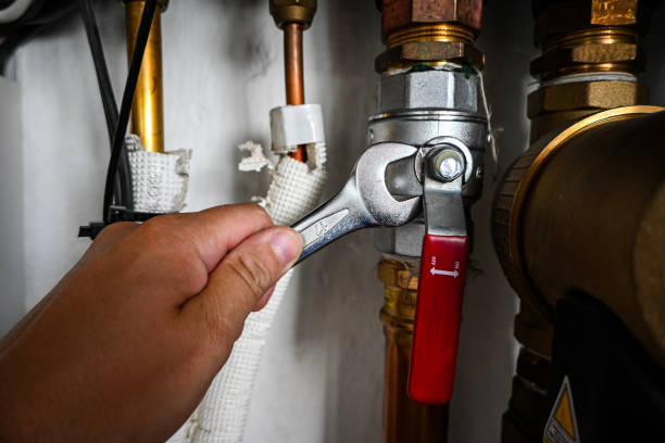 Best Affordable Plumber Near Me  in Palestine, IL